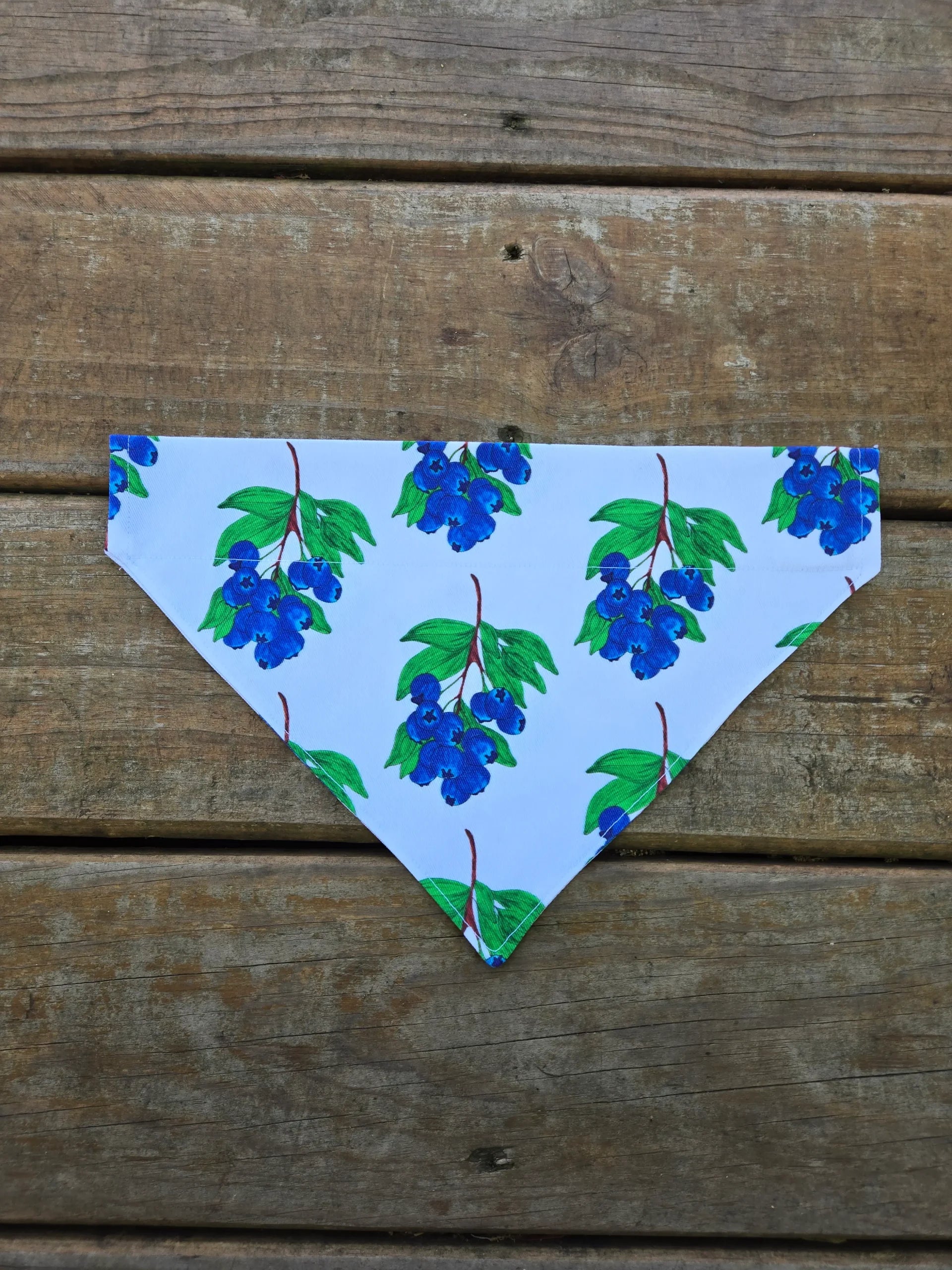 Blueberry Dog Bandana
