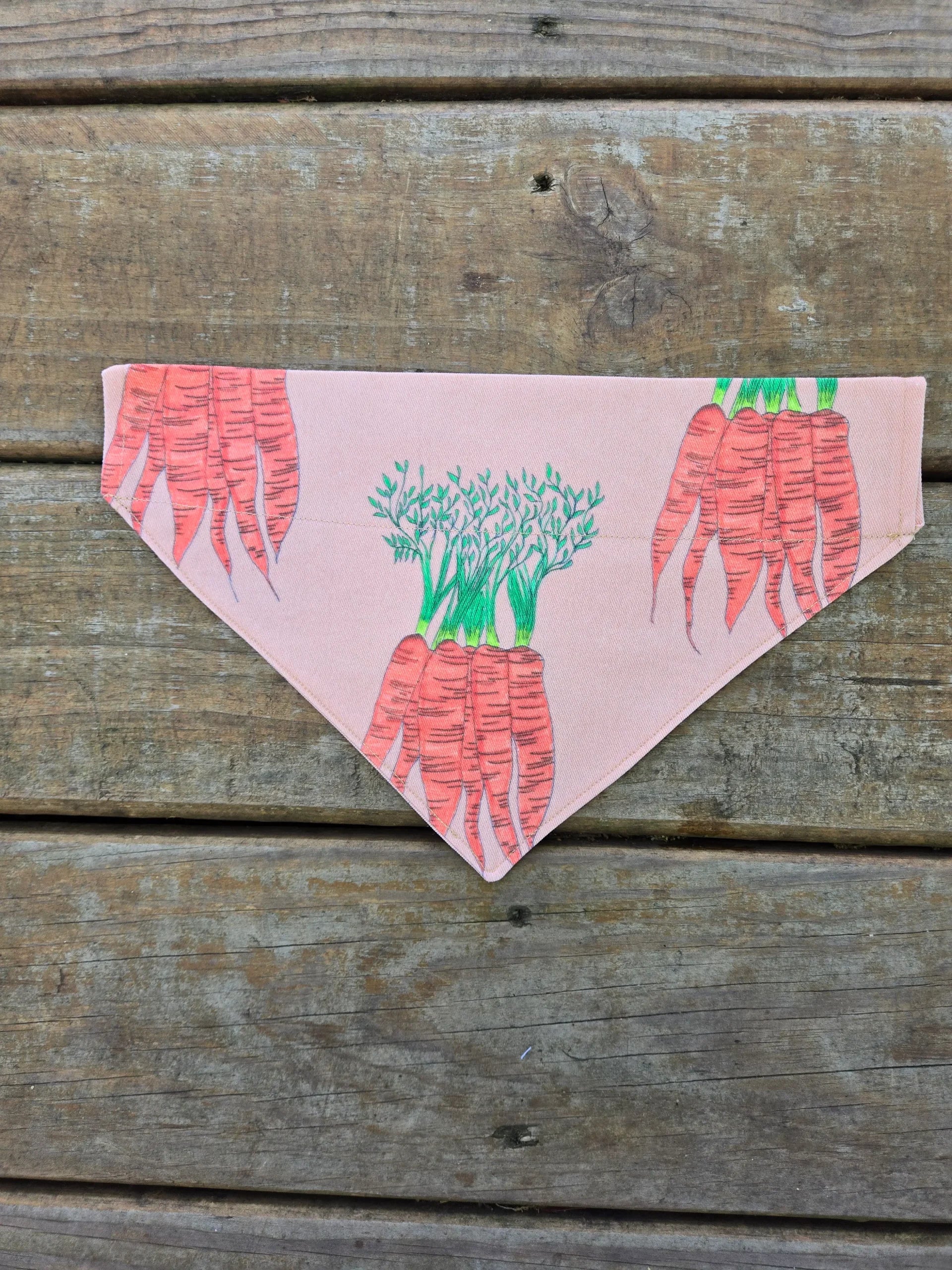 Carrot Dog Bandana