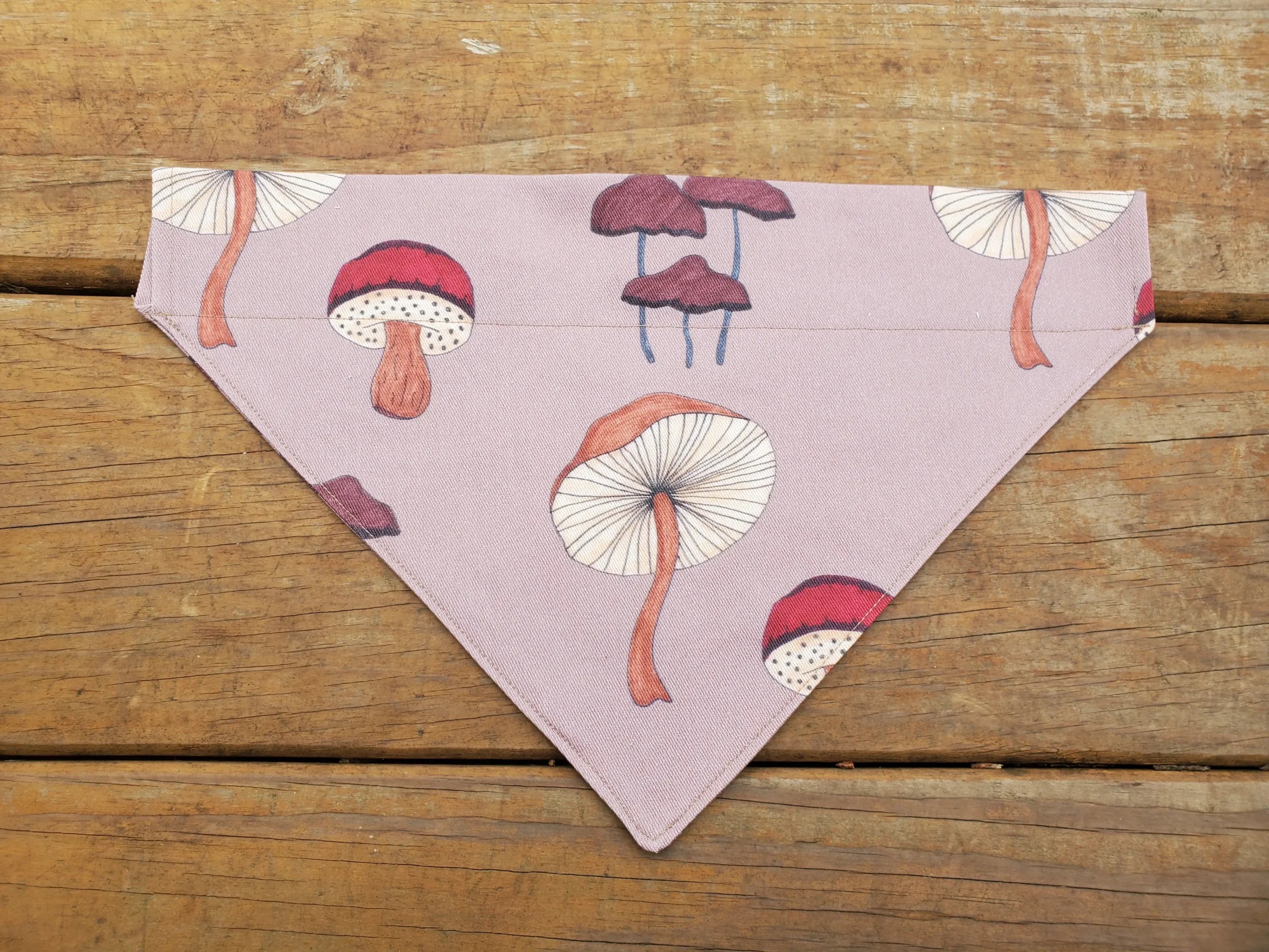 Mushroom Dog Bandana