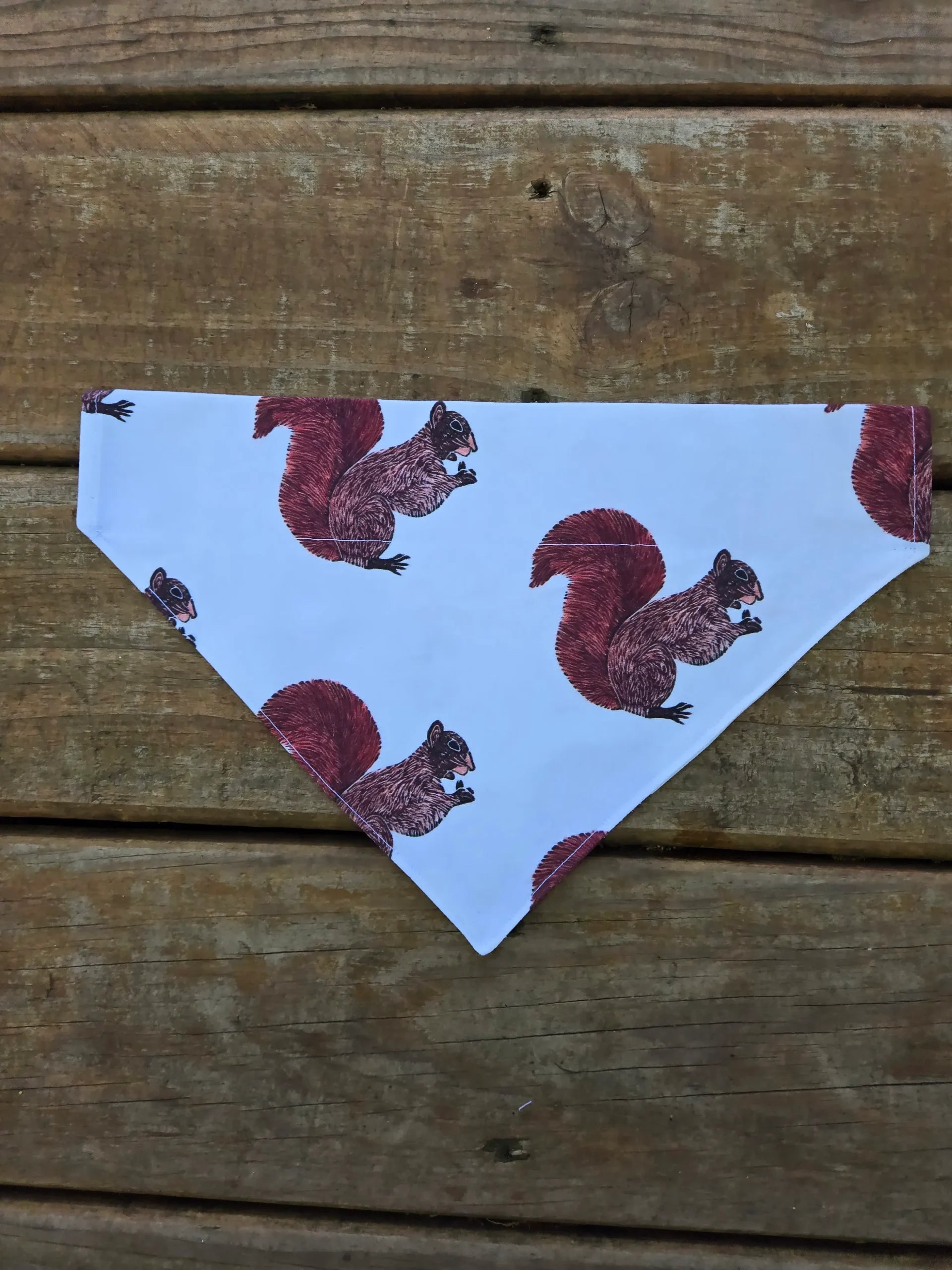 Squirrel Dog Bandana
